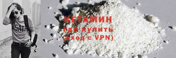 крисы Бородино