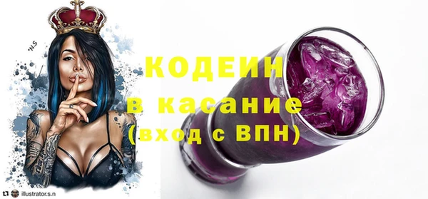 крисы Бородино
