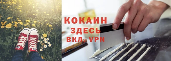бошки Бронницы
