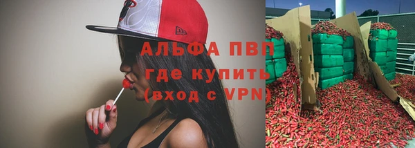 крисы Бородино