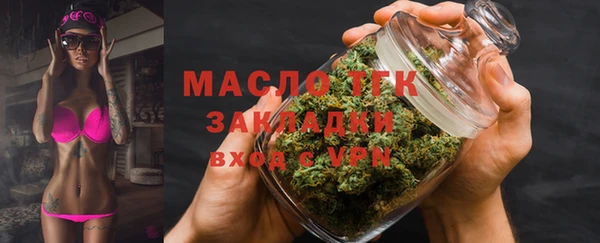крисы Бородино