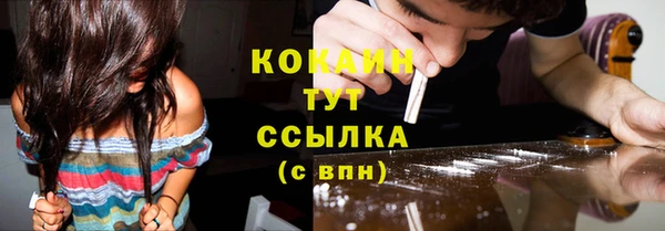 бошки Бронницы