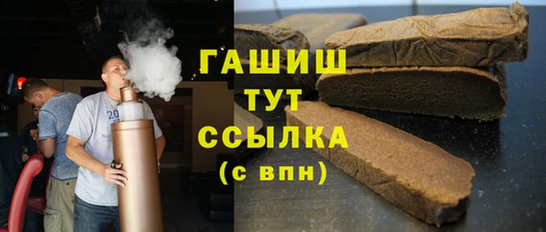 крисы Бородино