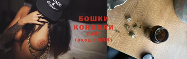 крисы Бородино
