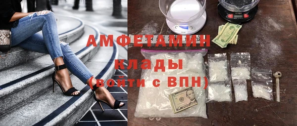 крисы Бородино