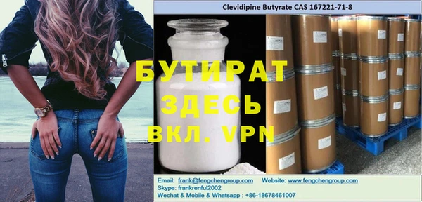 крисы Бородино
