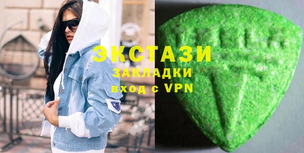крисы Бородино