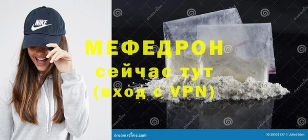 крисы Бородино